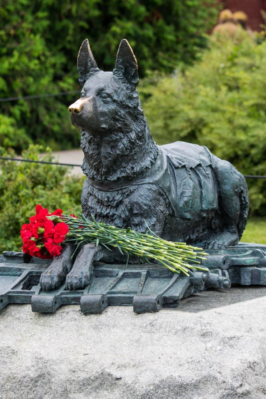 Памятник «Фронтовой собаке»
